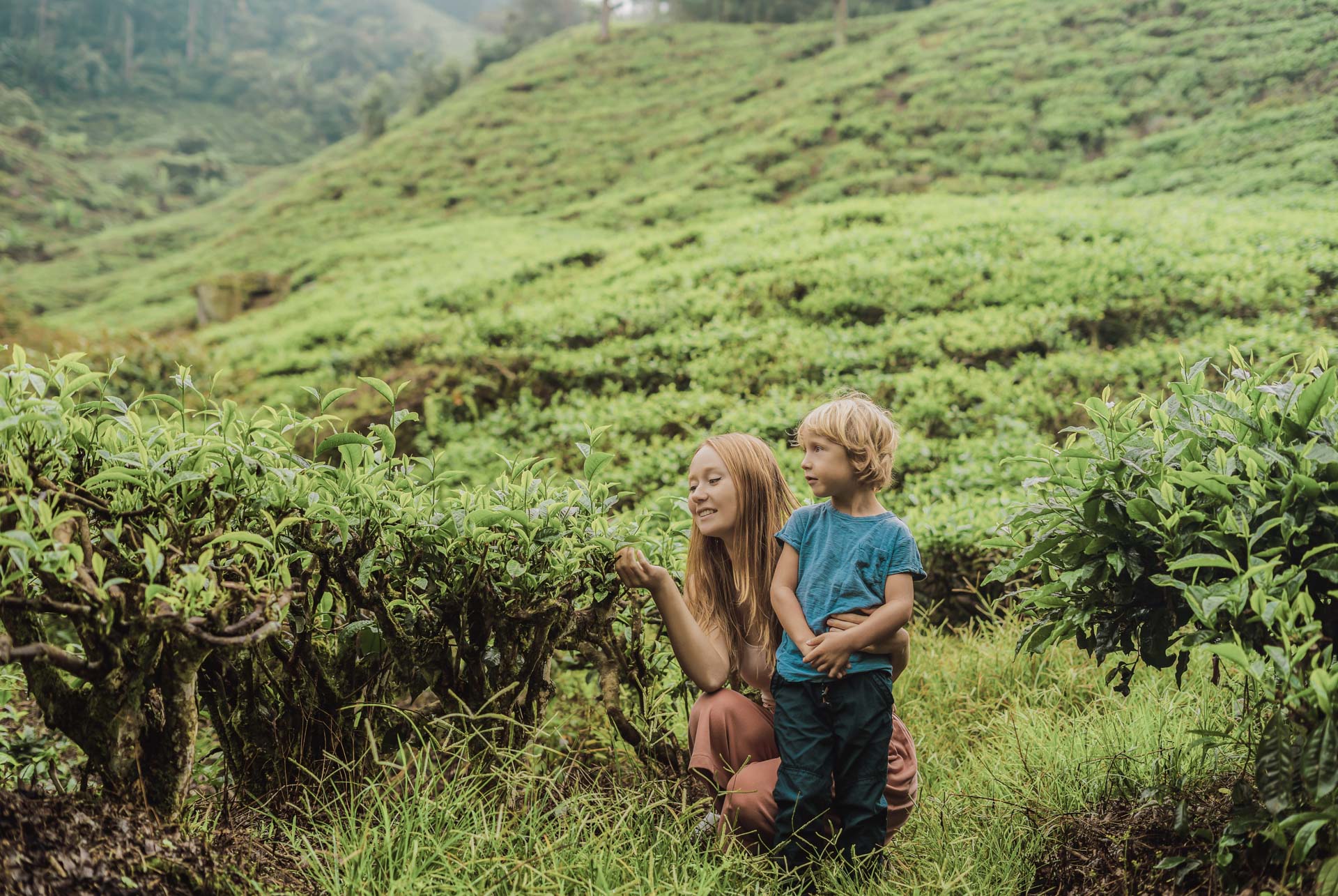 featured-image
